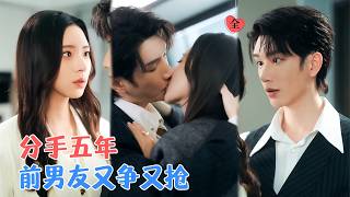 金少的猎爱天网