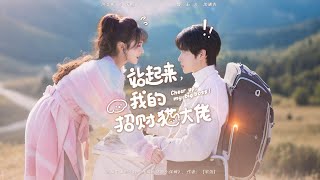 站起来，我的招财猫大佬