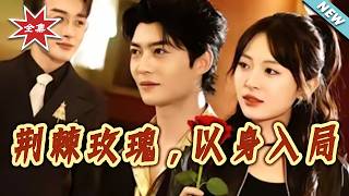 荆棘玫瑰，以身入局