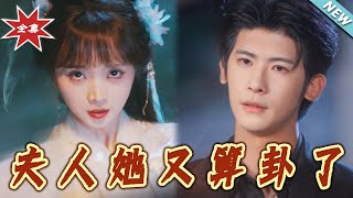 夫人她又算卦了