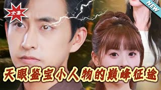 天眼鉴宝小人物的巅峰征途