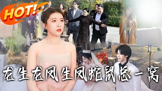 龙生龙凤生凤 蛇鼠总一窝