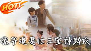 《凛爷追妻忙三宝神助攻》