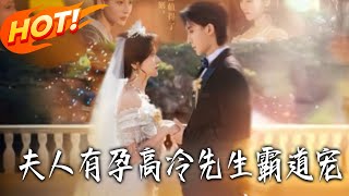 夫人有孕高冷先生霸道寵