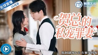 贺总的私宠罪妻