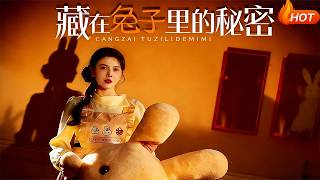 藏在兔子里的秘密