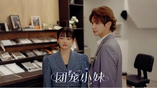 團寵小妹