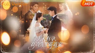 夫人有孕，高冷先生霸道宠