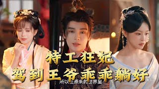 Agent Royal Concubine Arrives: My Lord, Lie Down and Obey