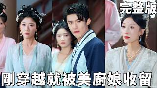 現代廚神穿越大魏