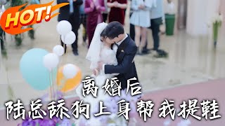 離婚後，陸縂舔狗上身幫我提鞋