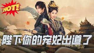 陛下你的宠妃出道了