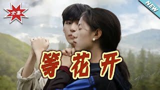 Waiting for the Bloom