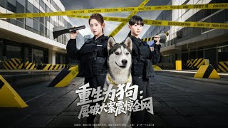 重生爲狗：屢破大案震驚全網