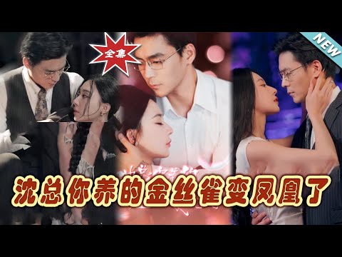 沈縂的金絲雀變鳳凰