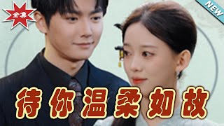 待你温柔如故：终章之爱与守候