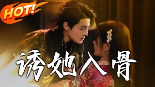 江督軍的養花手冊：兵鋒背後的愛戀