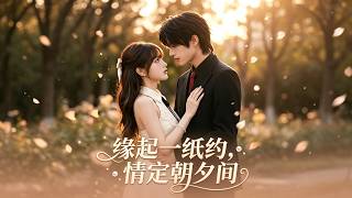 Destiny Written in the Contract: Love Blooms Day by Day