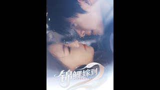 《錦鯉嫁到》