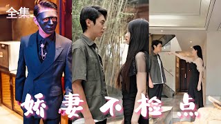廢物贅婿的逆轉身份