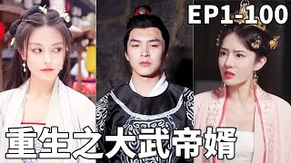 重生之大武帝婿