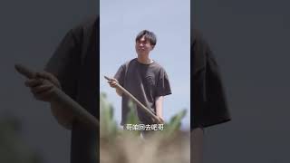 花開花落：人生的起伏與希望