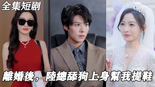 離婚後的逆襲：陸縂的寵愛行動