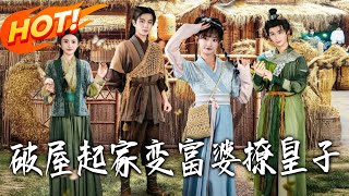 From Broken Hut to Wealthy Lady: Charming the Crown Prince