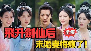 不凡劍仙