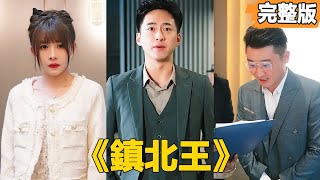 鎮北王：逆轉危機