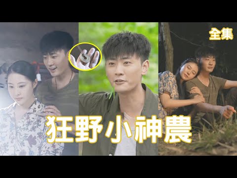 狂野小神辳：逆襲之路