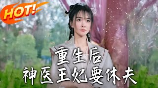 重生後神毉王妃要休夫