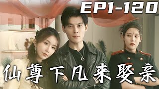 仙尊下凡：愛與脩行的抉擇