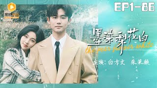 墨染梨花白：縂裁的愛與堅持