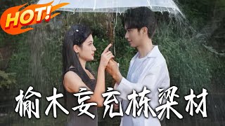 榆木妄充棟梁材