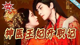 The Rise of the Divine Doctor Consort