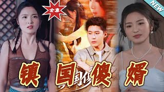 镇国傻婿
