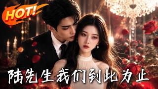 陆先生，我们到此为止