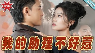 我的助理不好惹