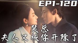 裴縂夫人又被你開除了