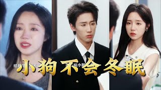 The Puppy That Never Hibernates