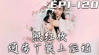 照紅妝通房丫鬟上位記