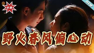 Wildfire & Spring Breeze: The Unplanned Heart