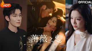 薔薇之戀：林楓松與白野的愛情故事