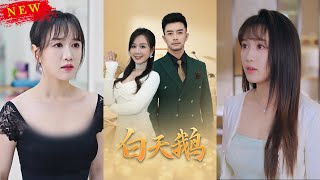 白天鵞