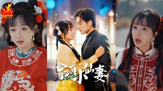 家有小仙妻