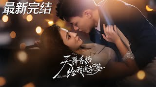 The System That Sent Me a Wife