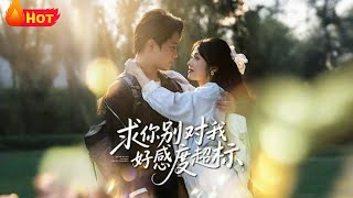 求你别对我好感度超标