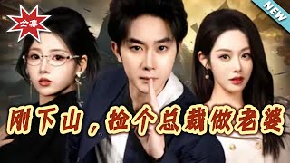 刚下山捡个总裁做老婆