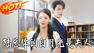 陆总，您的白月光是夫人